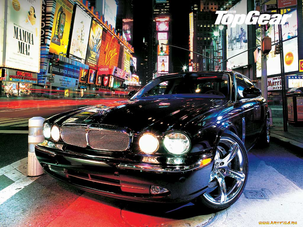 jaguar, 